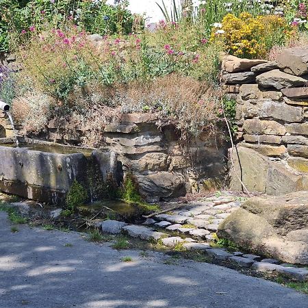 Apartamento La Petite Source Gouvy Exterior foto