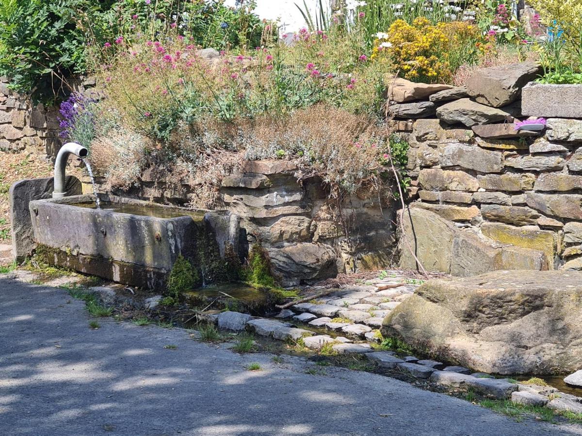 Apartamento La Petite Source Gouvy Exterior foto